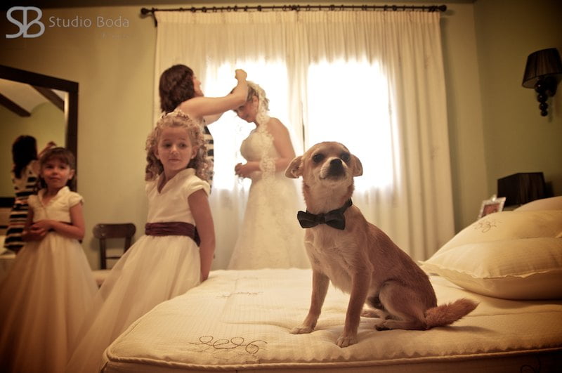 reportaje boda calpe alicante (23)