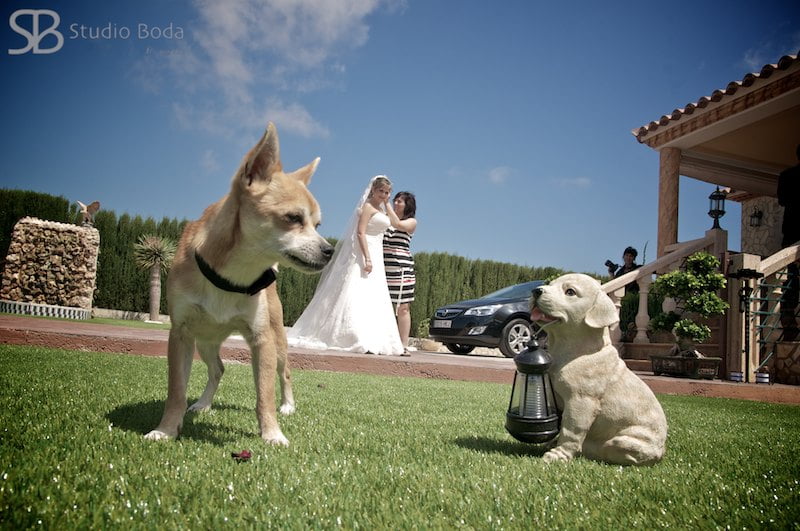 reportaje boda calpe alicante (21)