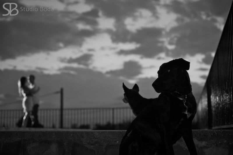 reportaje-lliria_BZM6774 - Version 2 Pareja con mascotoas
