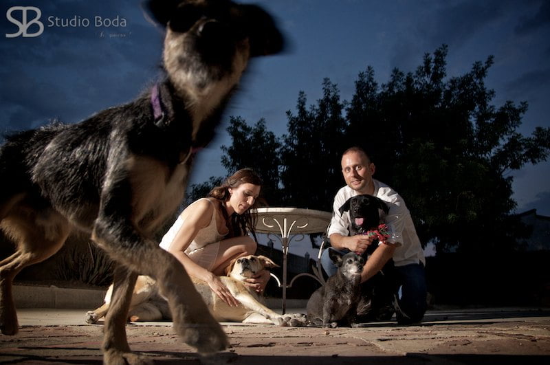 novios y mascotas