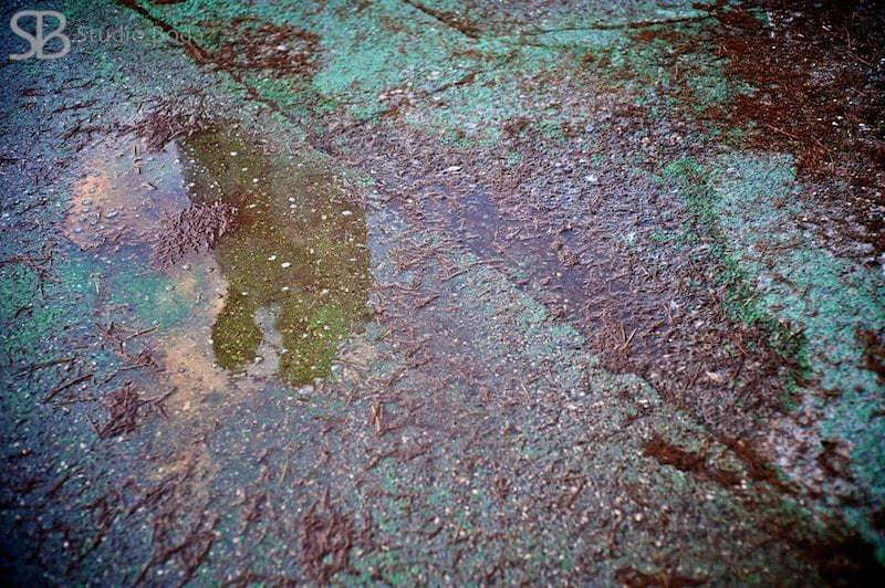 reflejo de la pareja