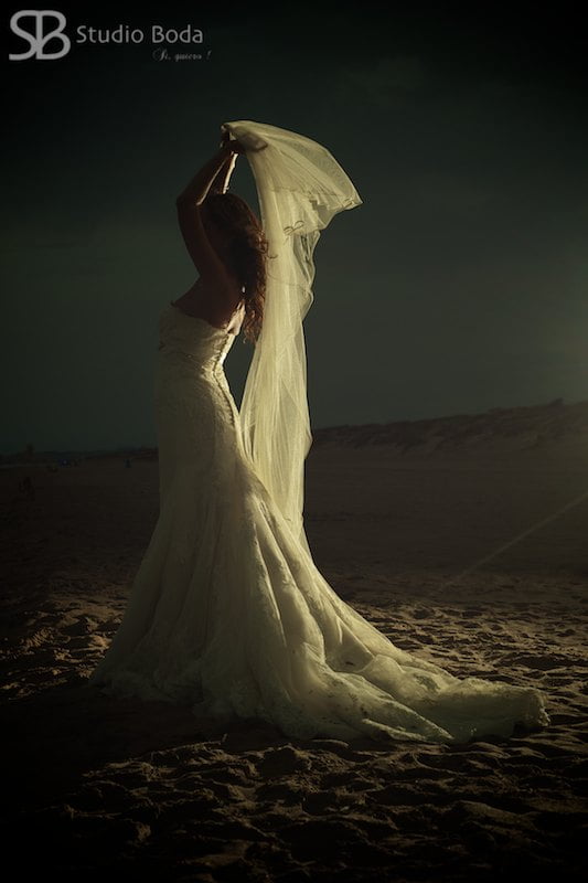 el velo de la novia