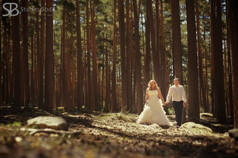 reportaje boda - bosque de soria