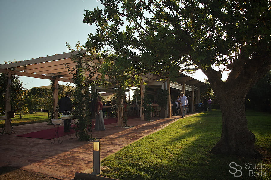 reportaje azahares (26)