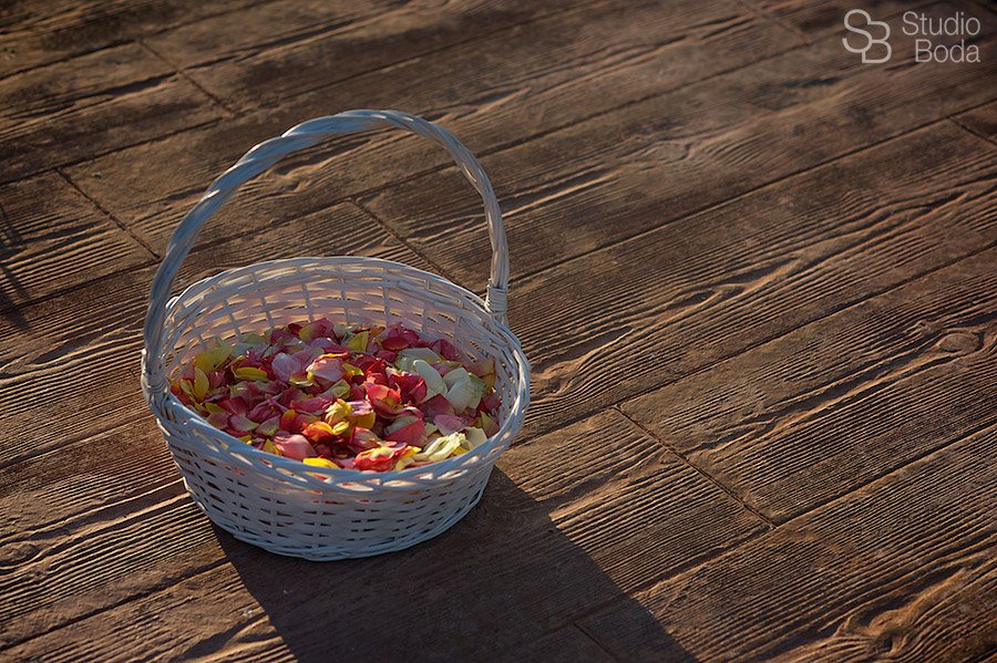 reportaje azahares (25)