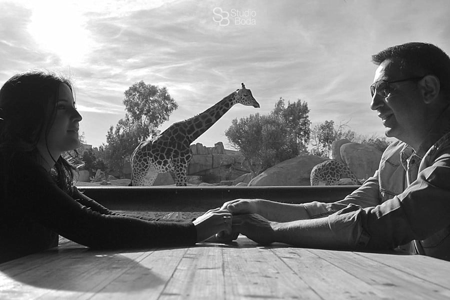 Engagement session giraff