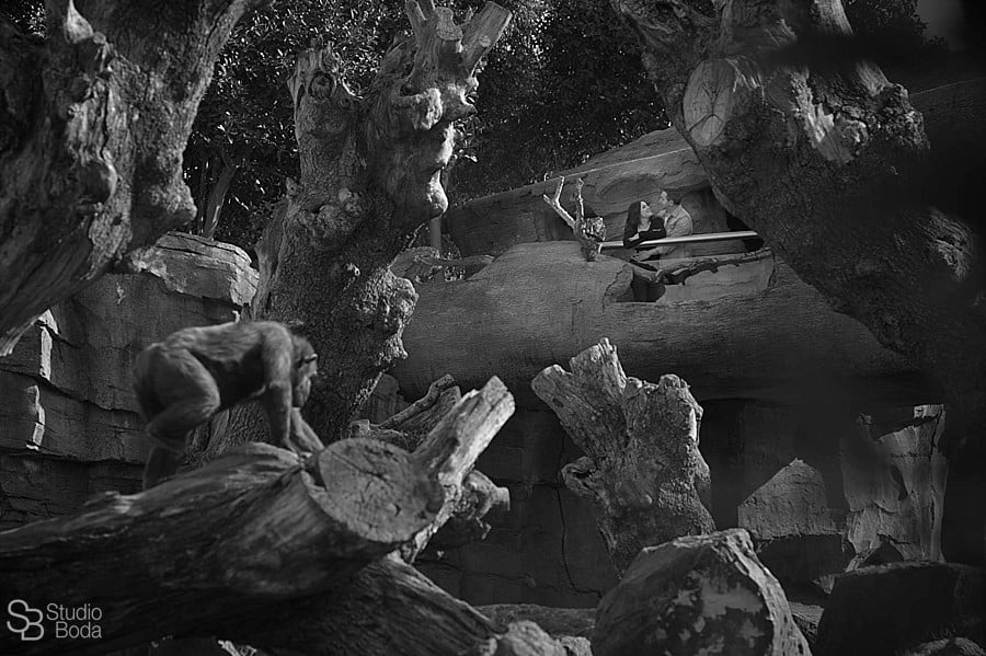 wedding photographer bioparc