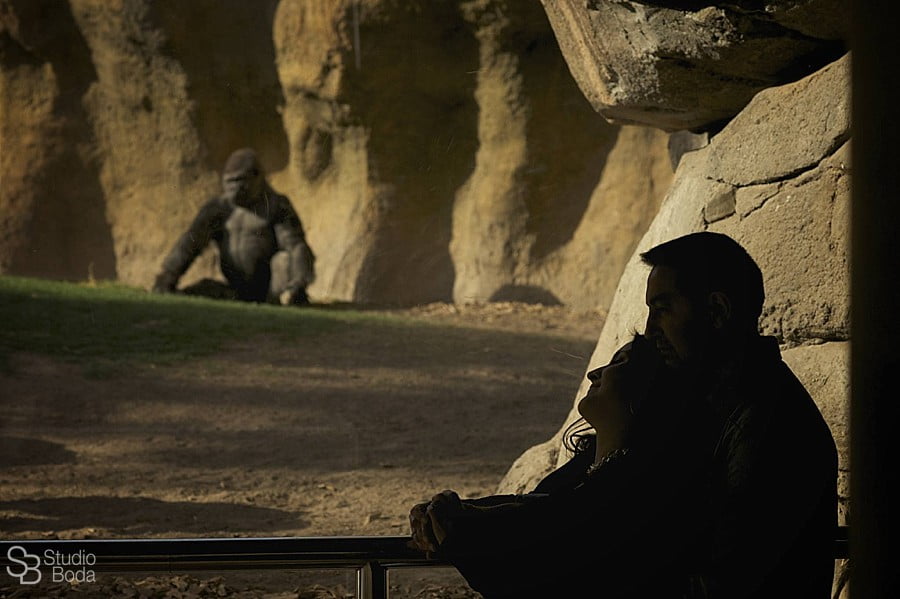 wedding photography bioparc