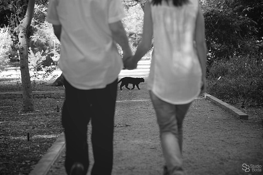 fotógrafo boda pre boda jardines