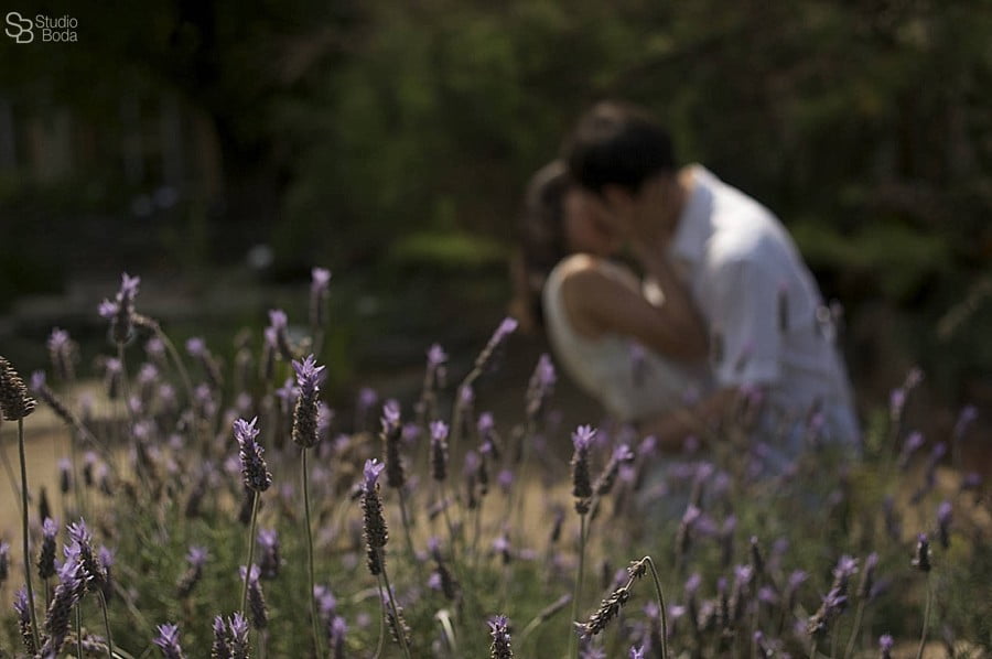 reportaje pre boda reportaje pre boda botanico