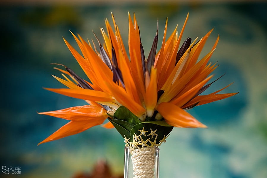 fotógrafo boda la manga