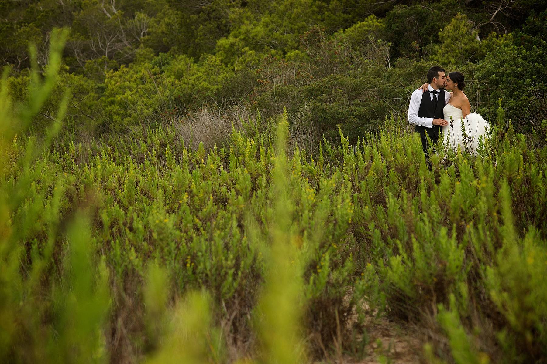 Trash The Dress