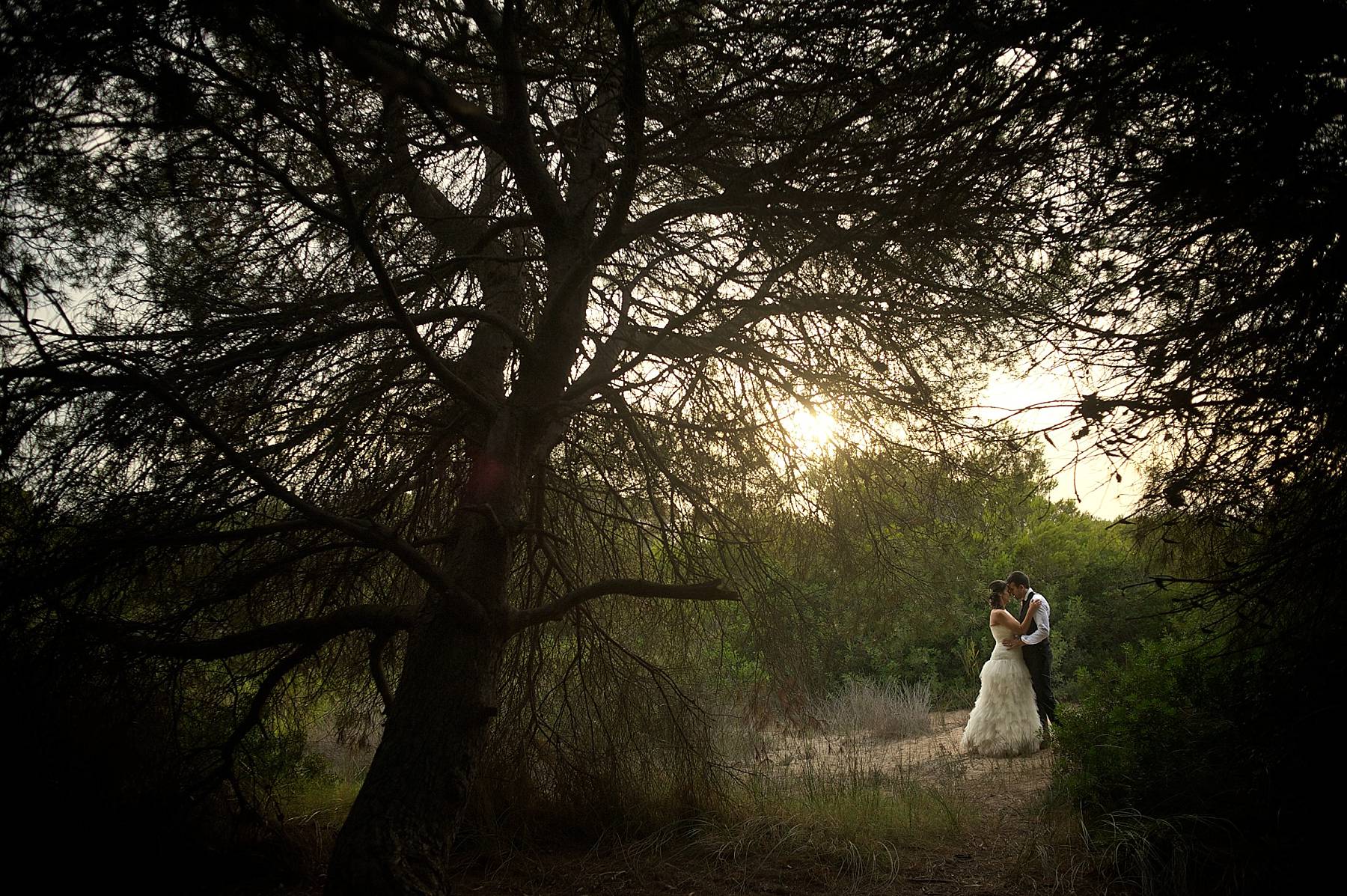 Trash The Dress