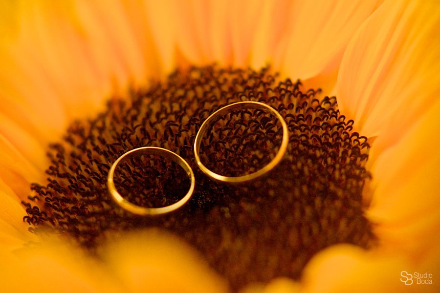 Fotografo boda Reportaje Valencia