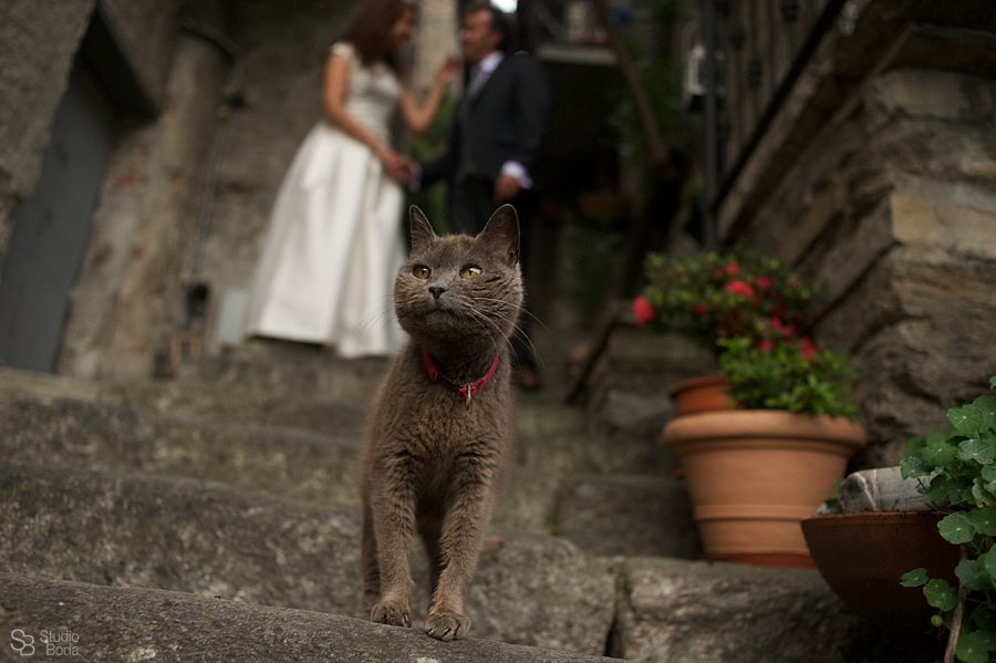 Fotografo Boda Italia