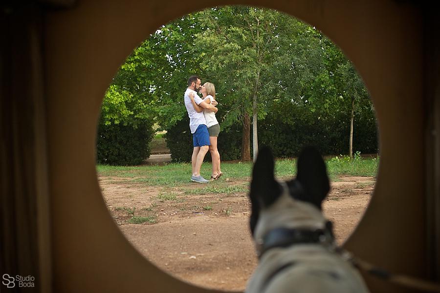 preboda con mascota