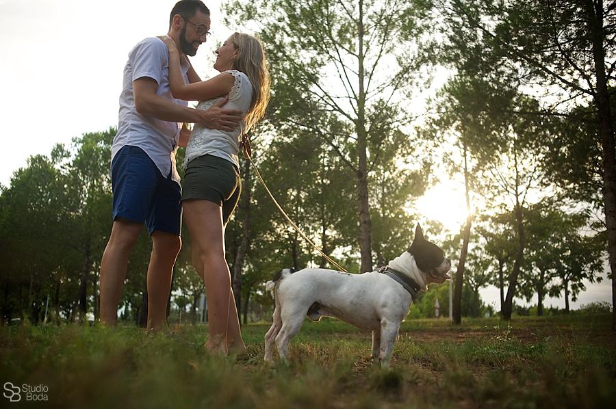 preboda con mascota