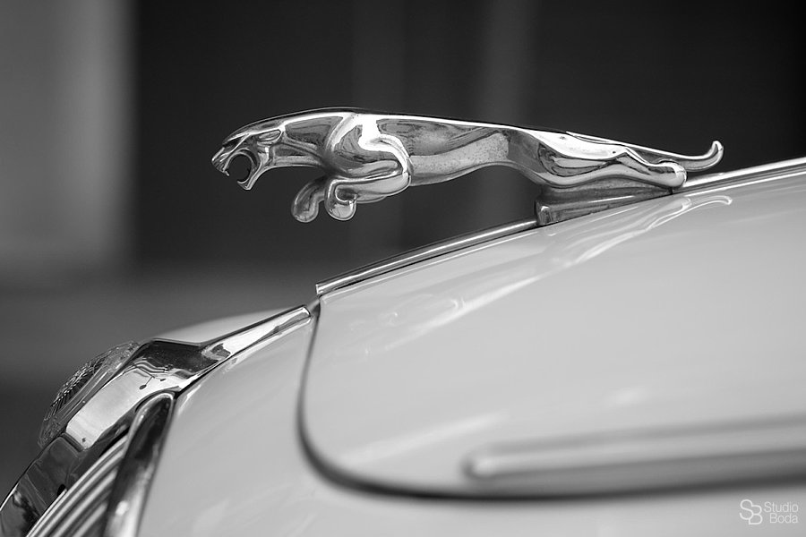 fotógrafo bodas Jaguar Boda