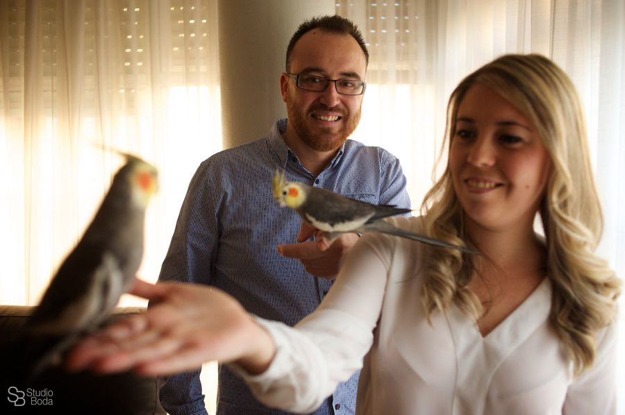 Fotógrafo boda