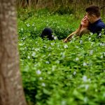 Parque de la Rambleta Valencia