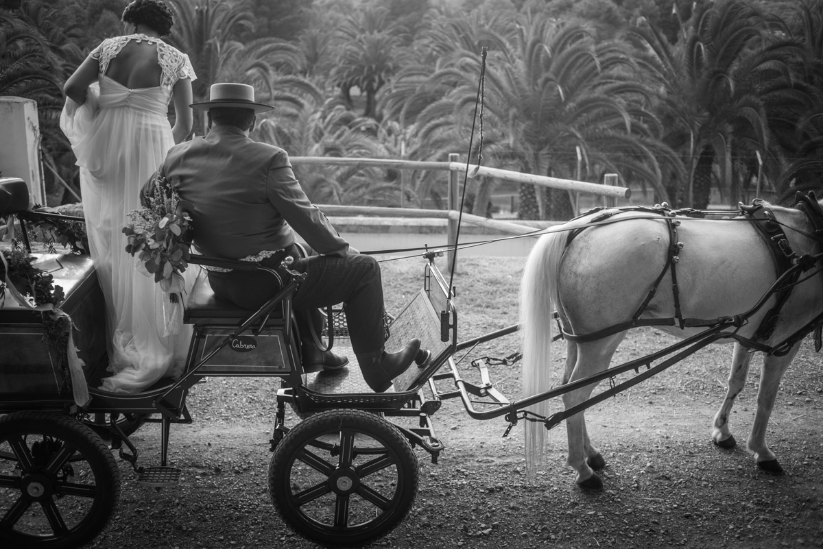 carruaje novia