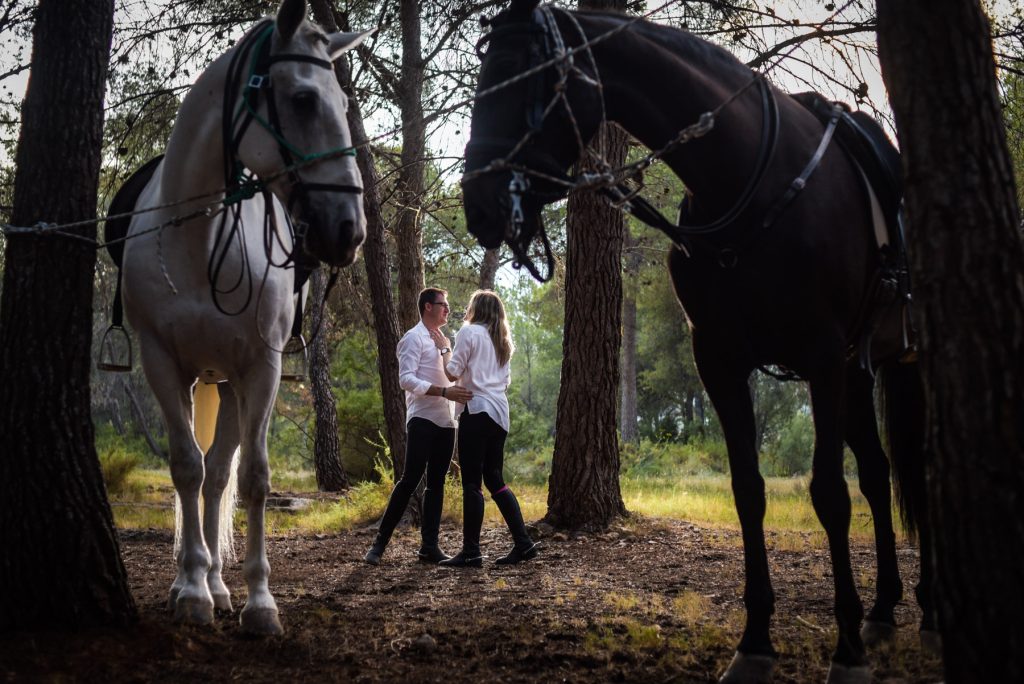 pre boda caballos