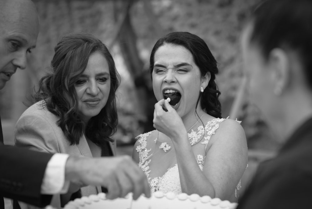 Novia boda dominios de la vega