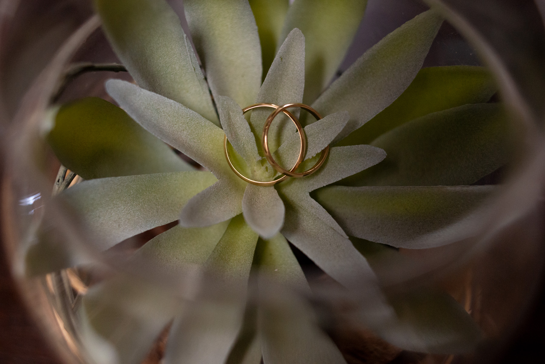 fotografia de boda valencia