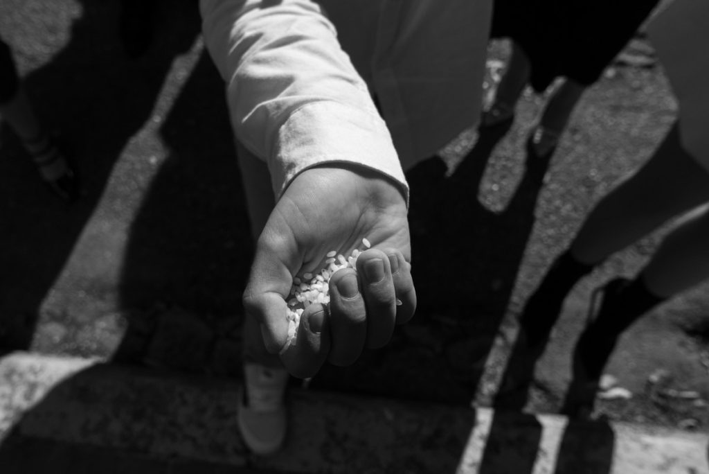 arroz jardines monforte